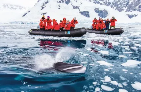 乘坐橡皮艇的游客们看着一头鲸鱼冲破冰冷的水面